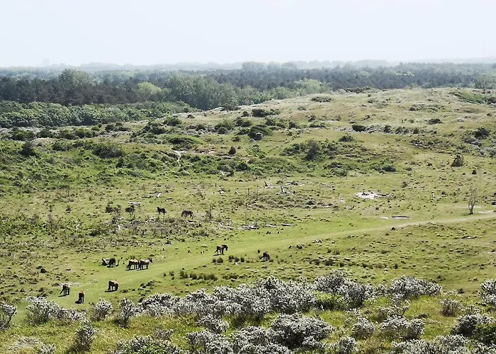 Bed & Breakfast Habitat 4*